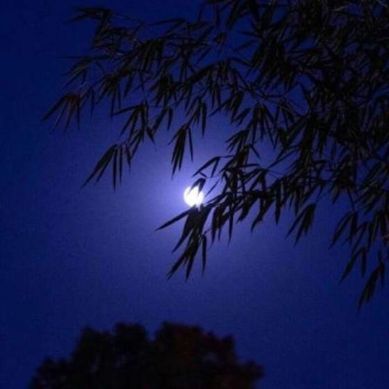 【唯美】高中同学别离时的句子（高中离别伤感的句子）