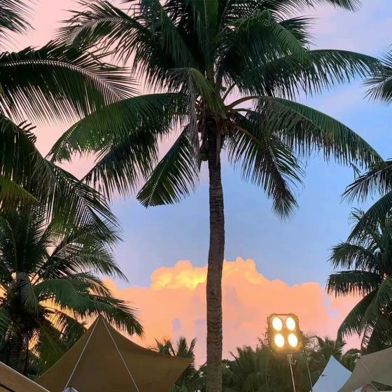 【哲理】分析人生感悟幽默精辟句子（感悟人生的幽默经典句子）