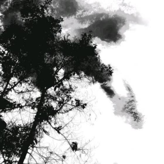 【励志】高考前几天励志言语（高考五十天励志语简短）