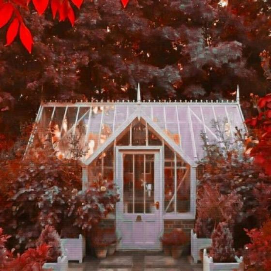 【励志】减肥励志视频正能量短片女生（减肥励志视频短片坚不可摧）