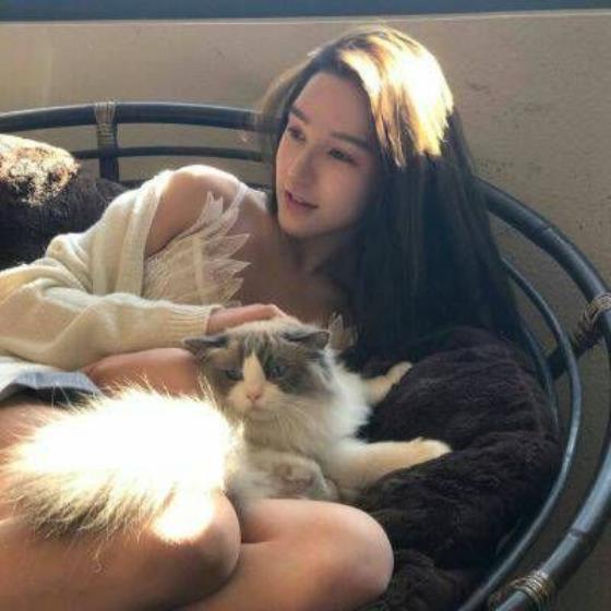 【哲理】格桑花颜夕花文案（格桑花唯美文案）