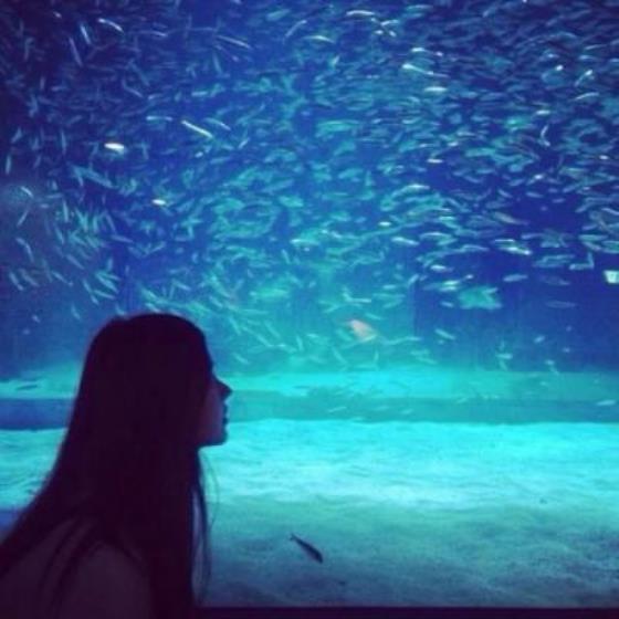 【感悟】海底两万里一到前五章感悟（海底两万里前五章感受）