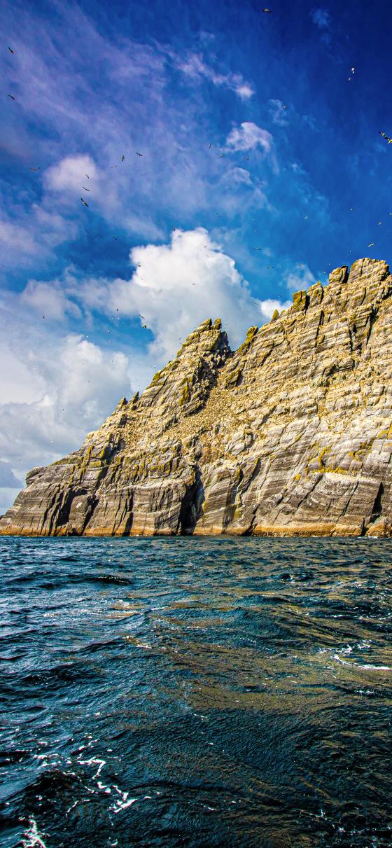 【经典】夸女孩子戴口罩漂亮的句子（夸女孩笑容好看的句子）