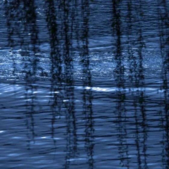 【唯美】文艺文案唯美句子带字图片（文艺文案短句背景图片）