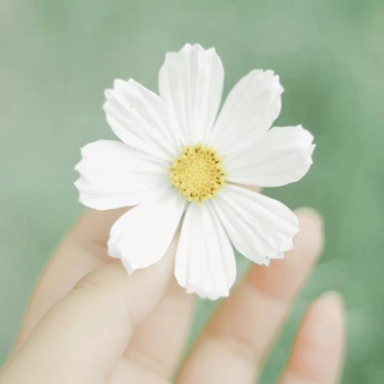 【励志】相当励志的视频彭于晏（彭于晏励志视频十几分钟）