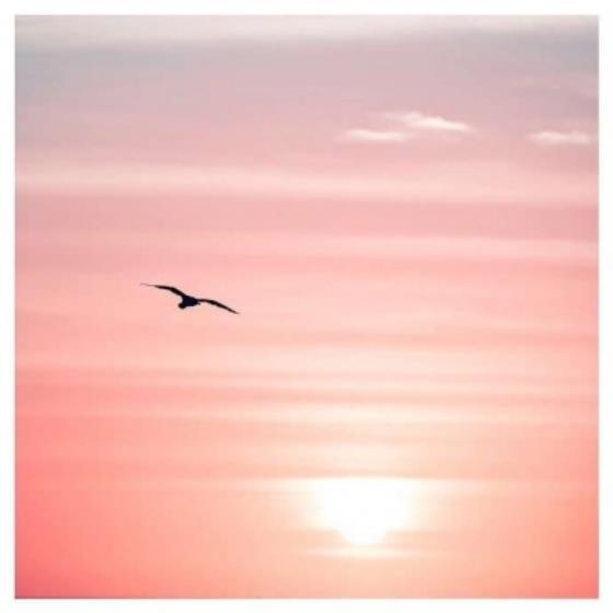 【励志】励志学生名言激励学习（激励学生学习的100句名言）