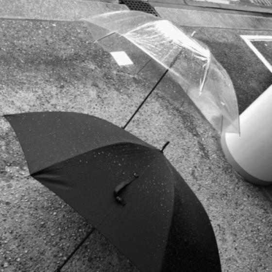 【唯美】喜欢雏菊铃兰句子（赞美铃兰的语句）