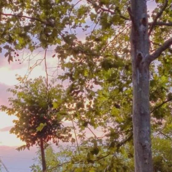 【正能量】夏季武汉适合发圈的句子（适合在陌生城市发圈的句子）