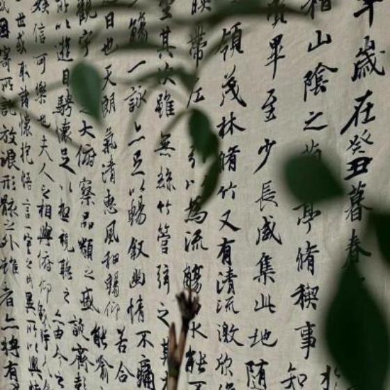 【感悟】洋槐花饼文案短句（描写槐花好吃的优美句子）