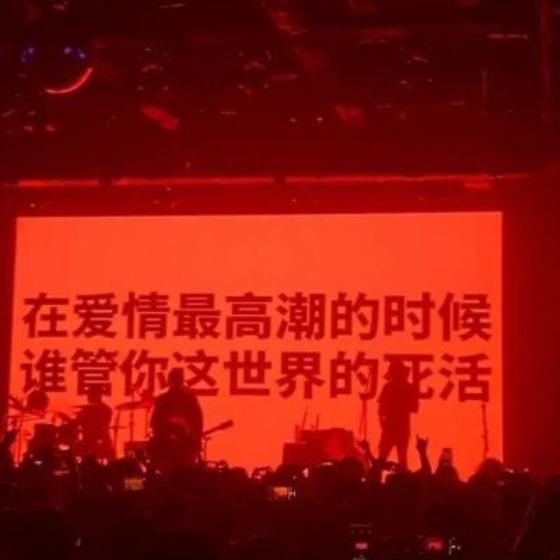 【感悟】给我十年的感悟（10年的感悟句子）