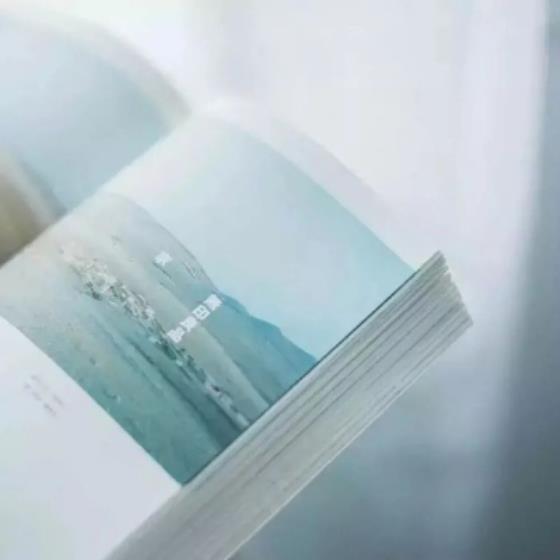 【哲理】摘抄红楼梦中的经典语句（红楼梦中的好句子摘抄大全50句）