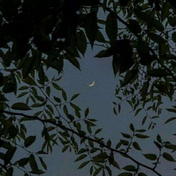 【伤感】忧伤的句子动漫（伤感动漫的经典语录）