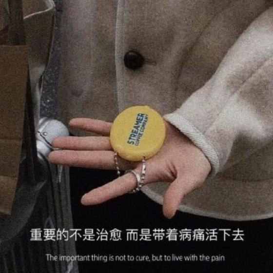 【哲理】红楼梦中精彩句子（红楼梦中优美古典句子）