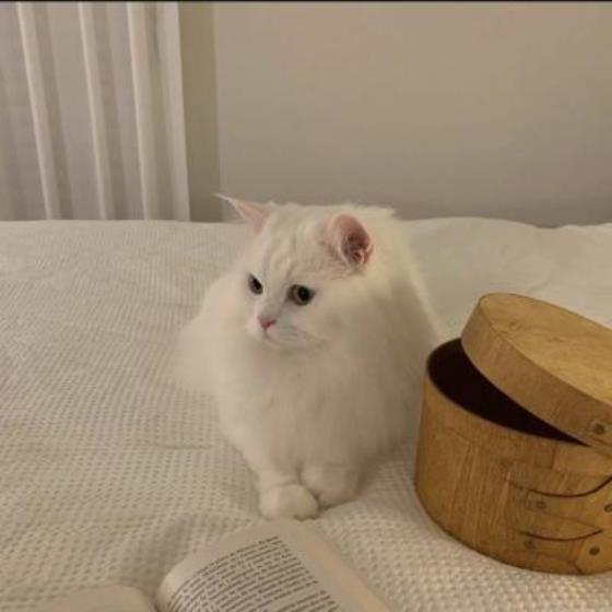 【哲理】十字内的人生格言（人生哲理名言简短十字）