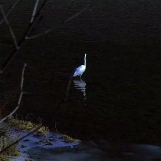 【唯美】实现喝水自由的说说（每天都喝水的说说）