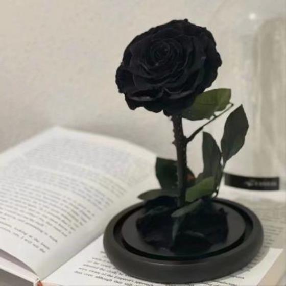 【励志】彭于晏真的很励志（彭于晏努力活成自己想要的样子）