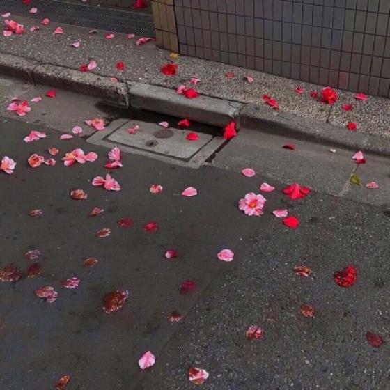 【经典】志同道合的人才会走到一起的句子（一群姐妹一起疯一起玩的心情句子）