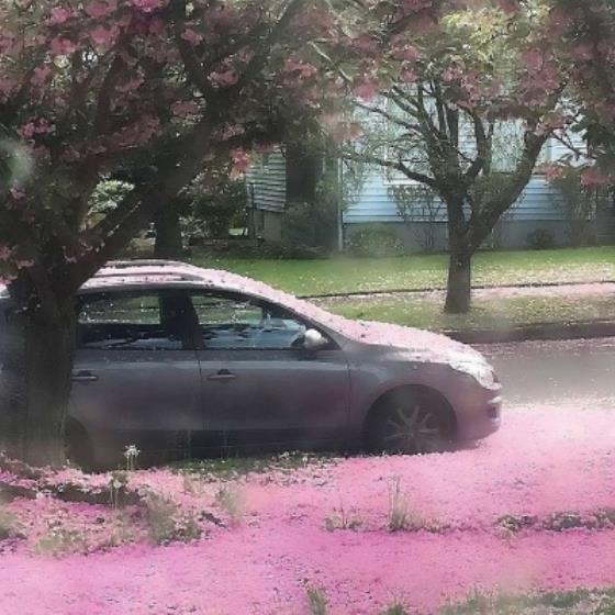 【励志】下雨天发朋友圈的句子8个字（下雨天发朋友圈的语录简短）