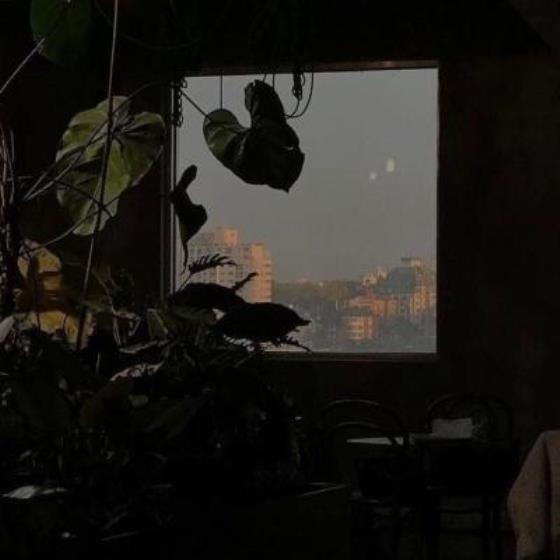 【爱情】白岩松经典语录爱情是什么（白岩松经典语录爱情）