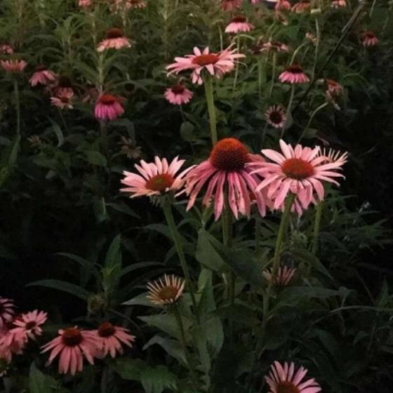 【感悟】游长城的唯美句子150句（形容长城优美的句子）