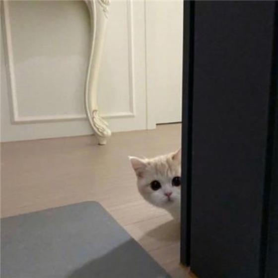 【经典】叫你不要去打扰我的句子（也许我不该打扰你的生活的句子）