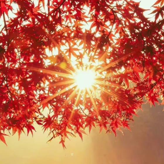 【正能量】正能量的句子七月份（一天正能量的句子）