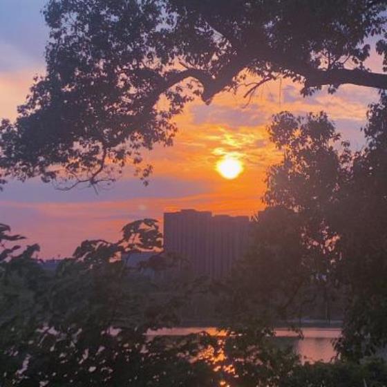 【励志】励志学习的短语的手抄报（学习名言的手抄报简单）