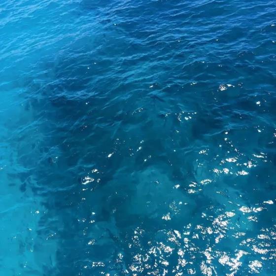 【哲理】想和你看格桑花的文案（天空中的格桑花文案）