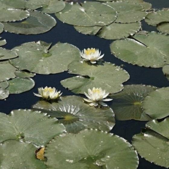 【正能量】正能量女生的句子（作为女人正能量句子）