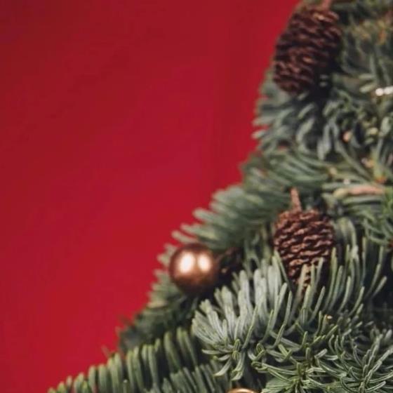 【正能量】评价彭于晏的句子（彭于晏经典台词语录）