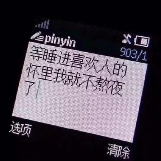 【爱情】皮卡丘不会说话的句子（皮卡丘最感人的句子）