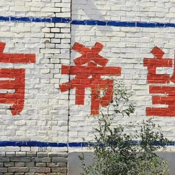 【哲理】格桑花的文案朋友圈（五瓣格桑花文案短句干净治愈）