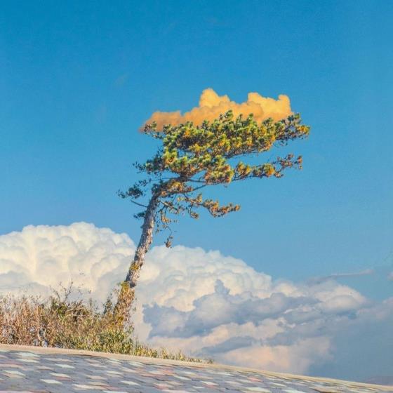 【正能量】搞笑励志晚安正能量一句话（晚安励志一句话正能量句子）