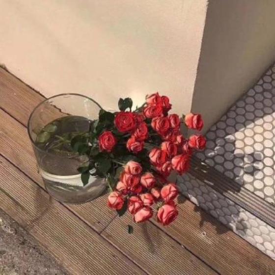 【经典】女士开车发朋友圈句子（女人自己开车发朋友圈的句子）