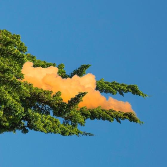 【励志】复制的文案怎么录视频用（复制的文案怎么加到视频中去）