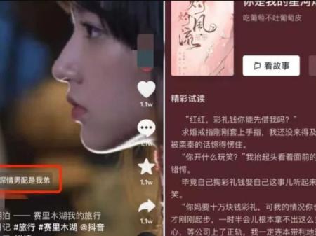 抖音故事新项目 : 小说推文新玩法