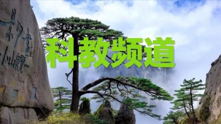 20-中华经典名著全本全注全译[96册] ：[]