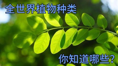 世界名画、湿地植物、盆栽花草、全世界500多种树木图鉴