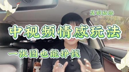 中视频情感语录教程，一部电脑一个人，打造月入过万情感账号