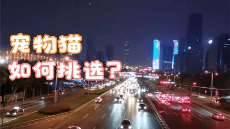 名企安全生产标准化图集（2022版）