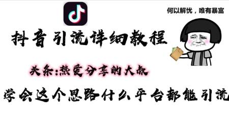 抖音独家起号，一天引流500+精准粉，适合各行各业