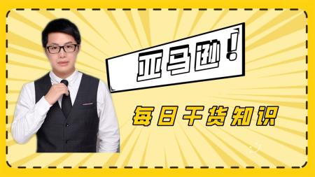 亚马逊运营技巧视频教程合集
