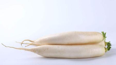 家庭医疗宝典：妇科病症治疗类，家庭食疗，家庭治疗
