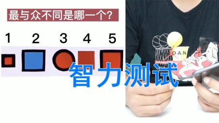 【书籍】智商测试400题