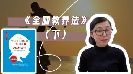 【书籍】职场精进指南(套装共20册)【精品】