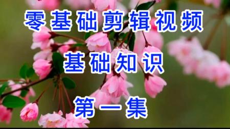 小白一学就会的短视频剪辑课(完结)