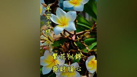 好看的动态图，可以做表情哦[]