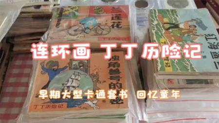 连环画_丁丁历险记