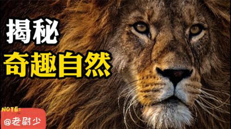 中华人文自然百科，共8卷（全）_电子书