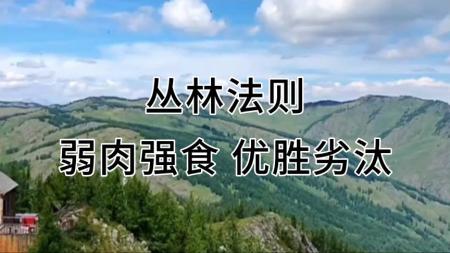 犹太人凭什么赢pdf_电子书